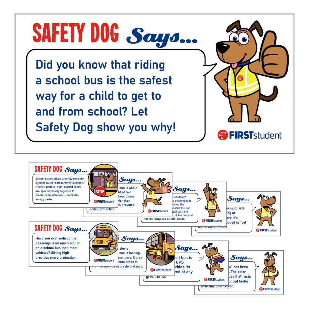 Safety Dog Vehicle Magnet Set primary image