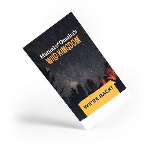 WK Animal Erasers  - Prospecting Item  image thumbnail