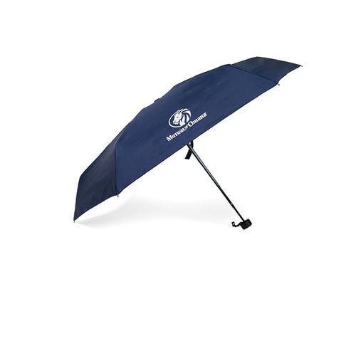 Mini Umbrella “Prospecting Item” image thumbnail
