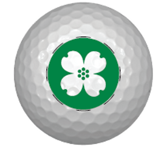 Titleist Pro V1 (Sleeve of 3)  image thumbnail
