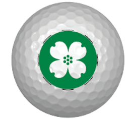 Image of Titleist Pro V1 (Sleeve of 3) 