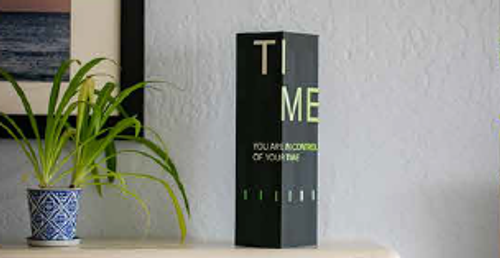 TIMEOS 650mL Double Wall Smart Bottle image thumbnail