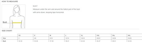 Port Authority Ladies EZCotton Polo image thumbnail