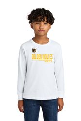 Image of Next Level Apparel Youth Cotton Long Sleeve Tee NL3311