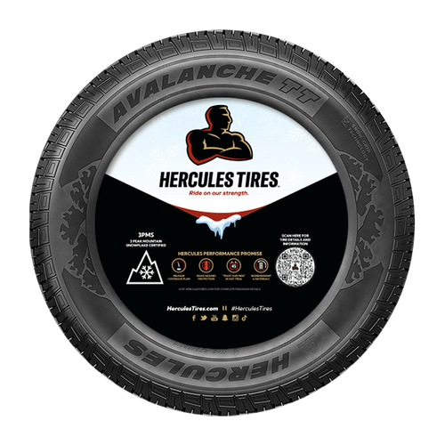 17" Tire Center- Winter image thumbnail