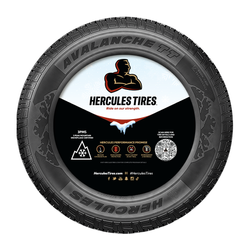 Image of 17" Tire Center- Winter
