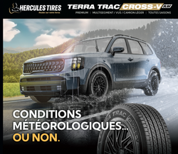 Image of TerraTrac Cross V AW Counter Card French