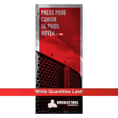 Commercial Trifold Catalogue - French image thumbnail