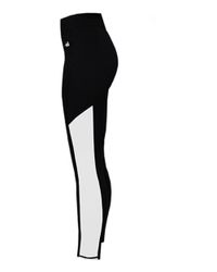 Image of Women's Panel Tight - 4637