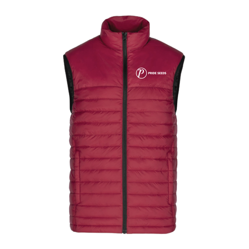 Men's Lightweight Puffy Vest image thumbnail