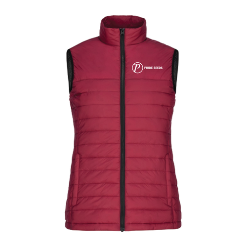 Women's Lightweight Puffy Vest image thumbnail