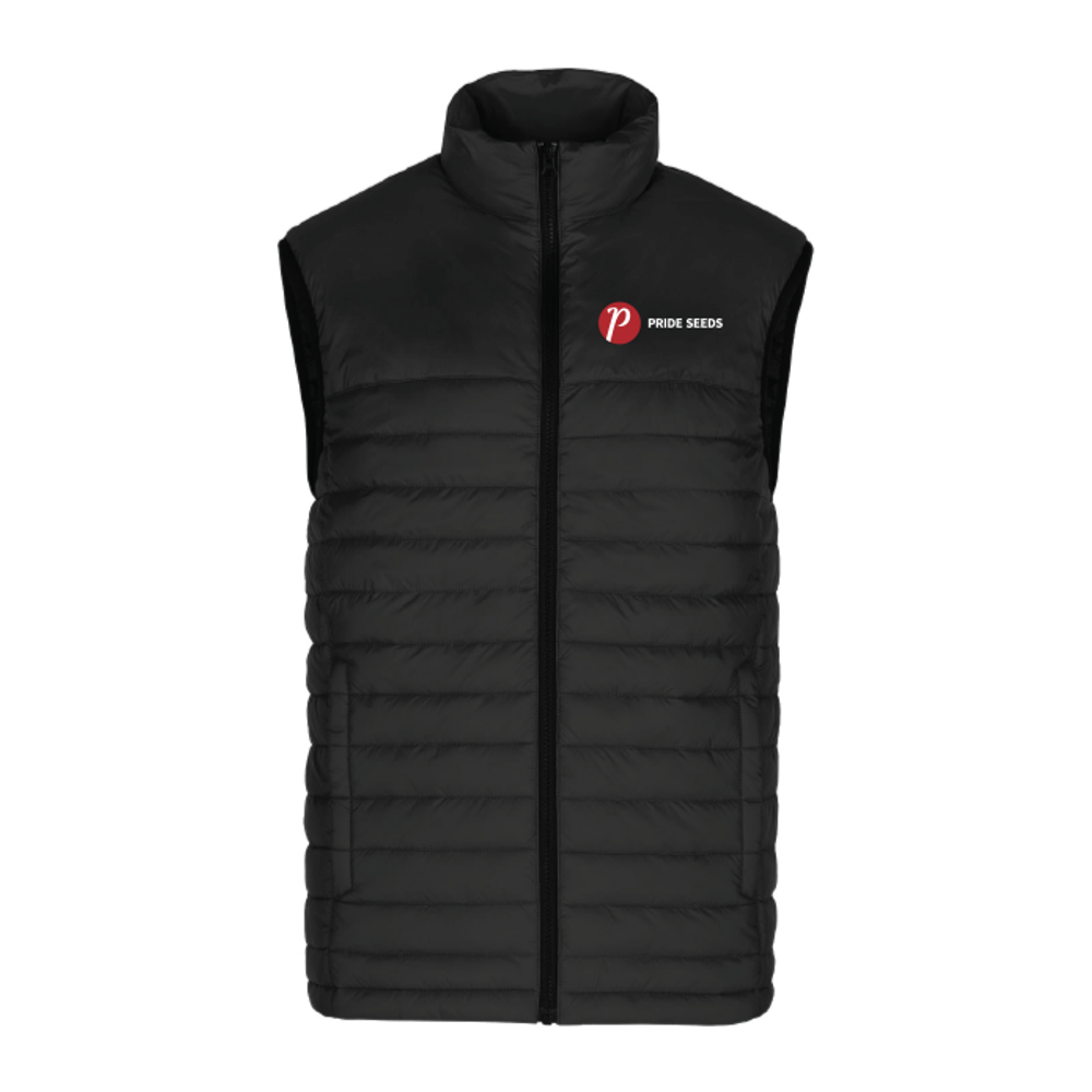 Men's Lightweight Puffy Vest primary image