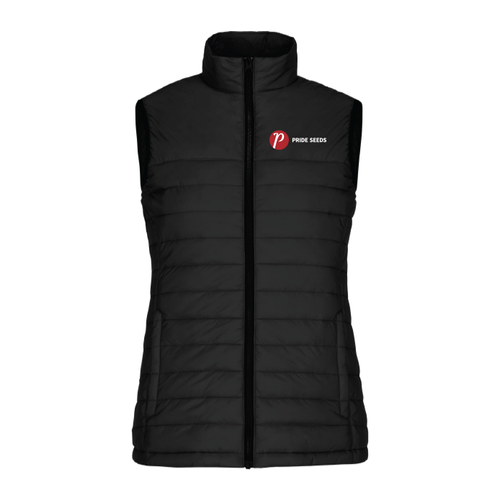 Women's Lightweight Puffy Vest image thumbnail