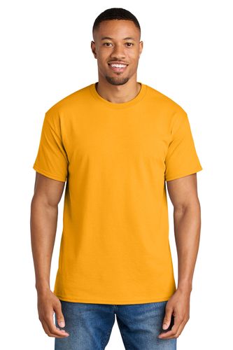Gildan DryBlend 50 Cotton/50 Poly T-Shirt. 8000 image thumbnail