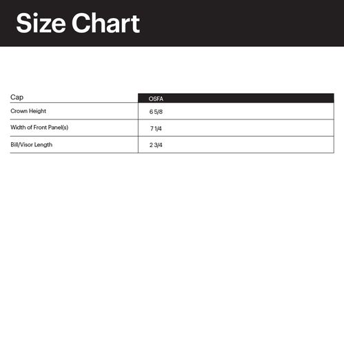 Snapback Trucker Cap  image thumbnail