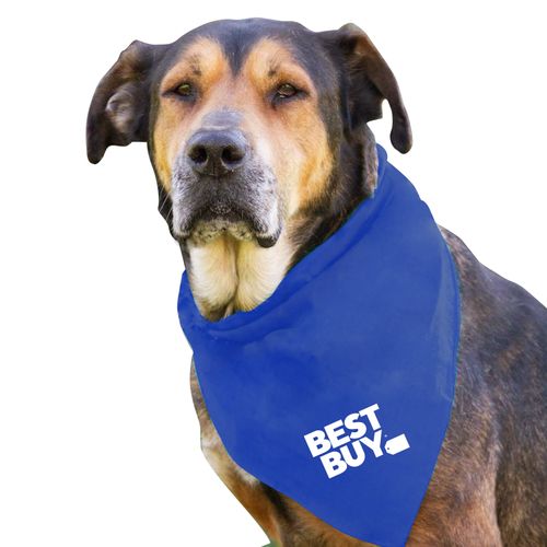 Adventure Ready Pet Kit image thumbnail