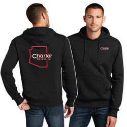 Image of District Perfect Weight Fleece Hoodie (AZ)