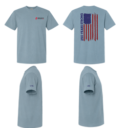 Image of 250 Comfort Color T- shirt 