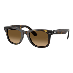 Image of Ray-Ban Polarized Wayfarer Ease Sunglasses