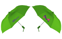 Image of Auto-Open Collapsible Umbrella