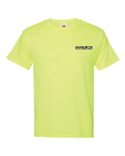 Unisex Hi Vis Hanes Eco Smart- TS-07003 image thumbnail