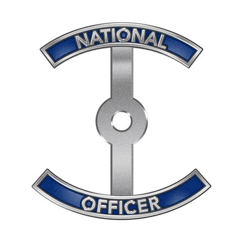 Official Lapel Pin Rocker image thumbnail