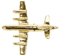 Image of P3 Lapel Pin