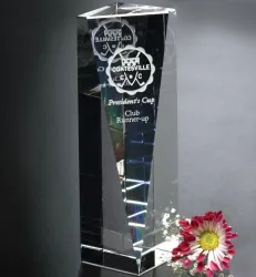 Image of 8" Buena Vista Award