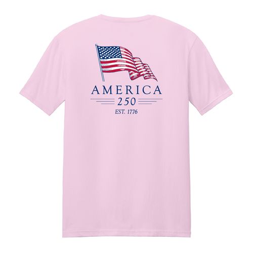 America 250 Soft Style T-Shirt image thumbnail
