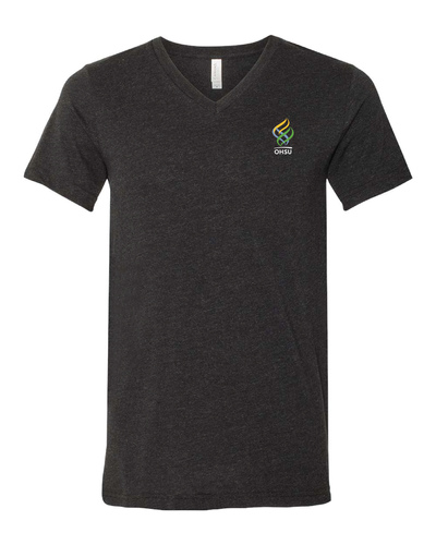 BELLA+CANVAS® Unisex Heather CVC V-Neck Tee image thumbnail