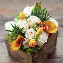 Image of Olive & Cocoa Fiore Bianco
