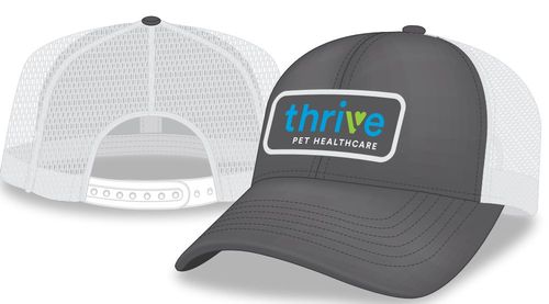 Two-Tone Mesh Back Cap image thumbnail