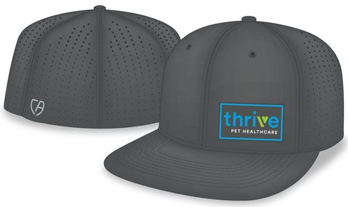 FlexFit Performance Cap image thumbnail