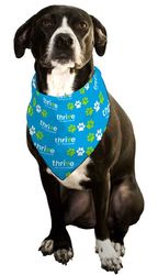 Image of Dog Bandana