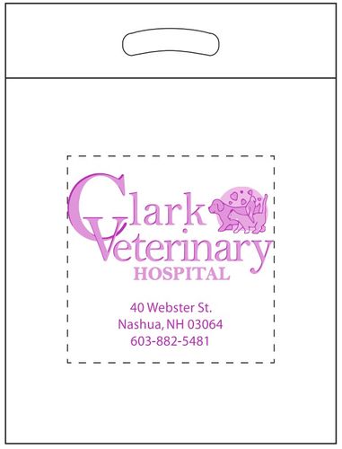 Die Cut Handle Bag 9x13 image thumbnail