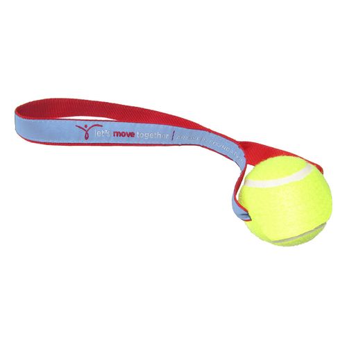 Tennis Ball Toy image thumbnail