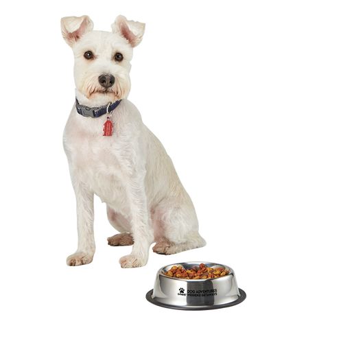 Medium Pet Bowl image thumbnail