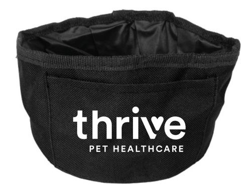 Folding Dog Bowl image thumbnail
