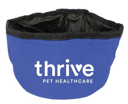 Folding Dog Bowl image thumbnail
