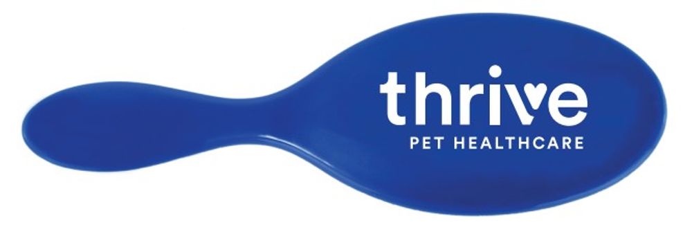 Steel Pin Pet Brush primary image