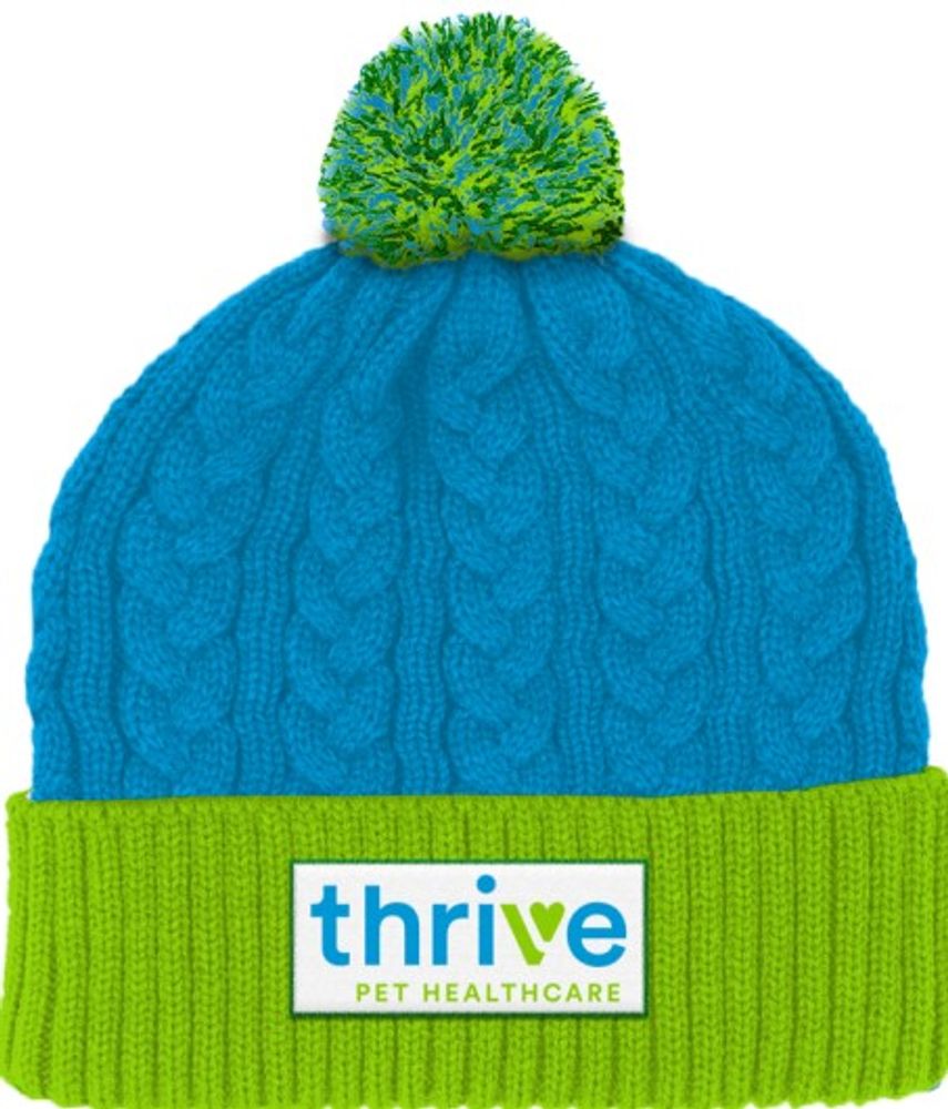 Cable Knit Beanie primary image