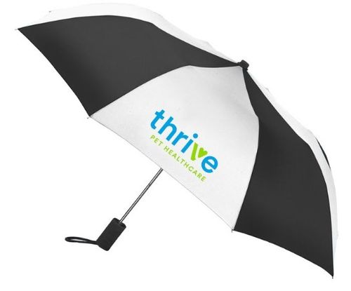 Two Color Budget Umbrella image thumbnail