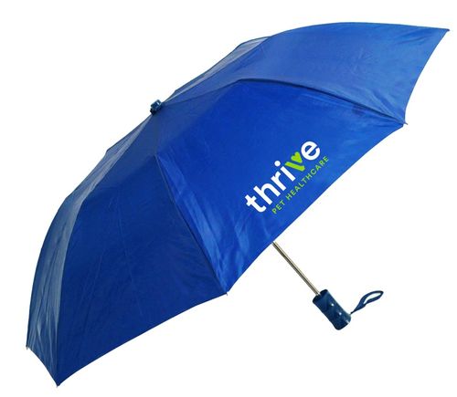 Budget Umbrella image thumbnail