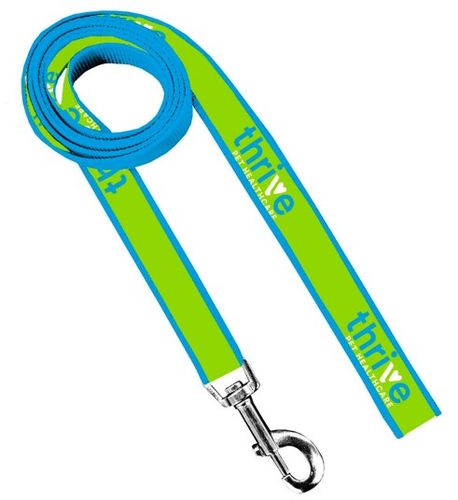 Dog Leash (Blue) image thumbnail