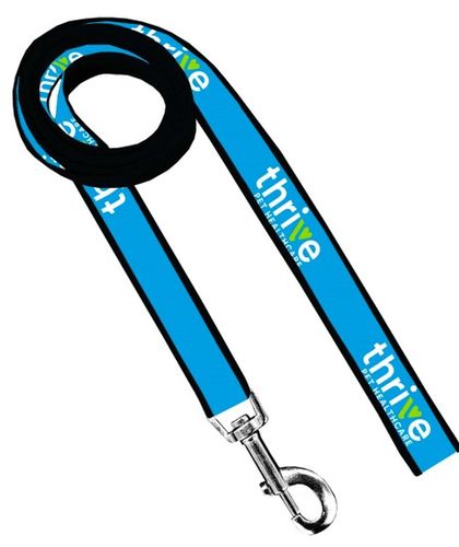 Dog Leash (Blue) image thumbnail