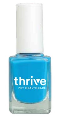 Nail Polish - Blue image thumbnail