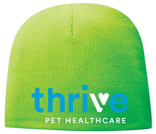 Fleece-Lined Beanie  image thumbnail