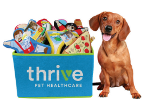 Pet Toy Basket image thumbnail