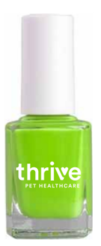 Nail Polish - Green image thumbnail