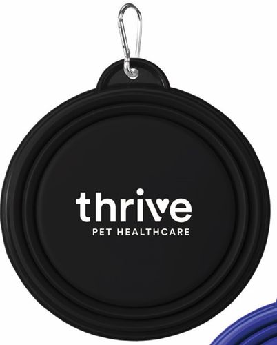 Collapsible Pet Bowl  image thumbnail